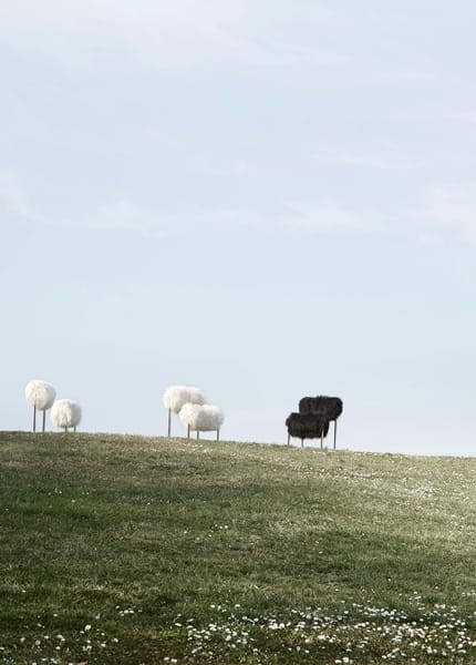 Acerbis Due Più fotelja - Fotelje - 3476