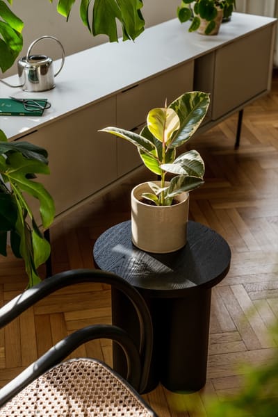 Noo.ma Oly hoklica - Barske stolice i hoklice - 3727