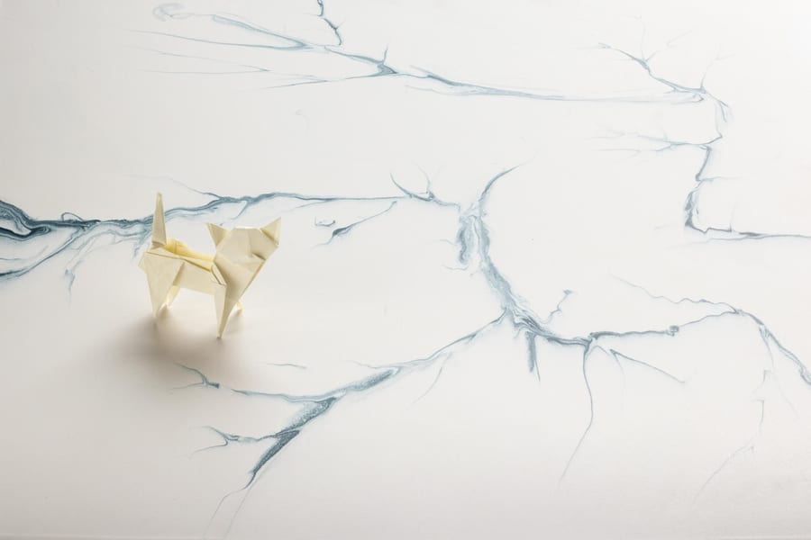 Timeless - Mikrocementni podovi - Sivit Design