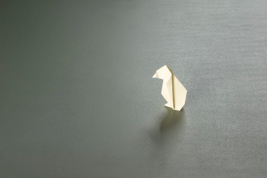 Micro - Mikrocementni podovi - Sivit Design