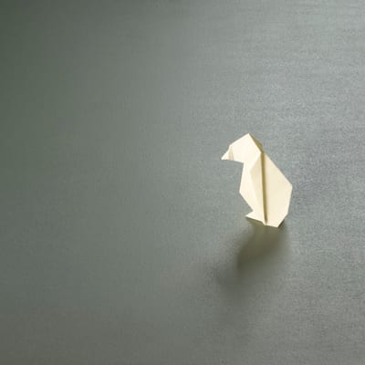 Micro - Mikrocementni podovi - Sivit Design