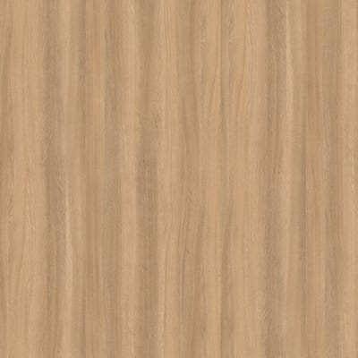 H1142 ST36 Sacramento hrast smeđi