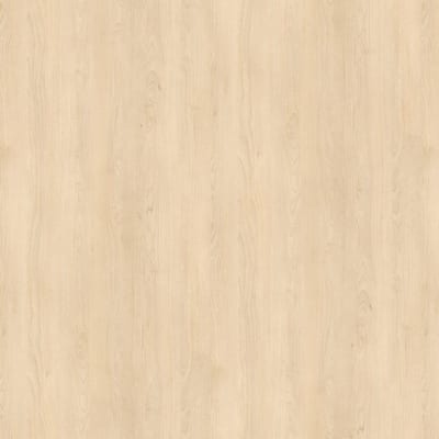 H1732 ST9 Breza pijesak
