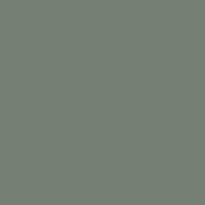 U604 ST9 Eukaliptus zelena