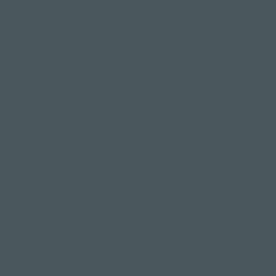 U665 ST9 Stone zelena