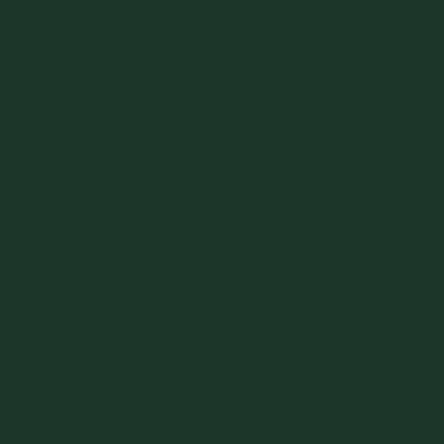 U699 ST9 Jela zelena