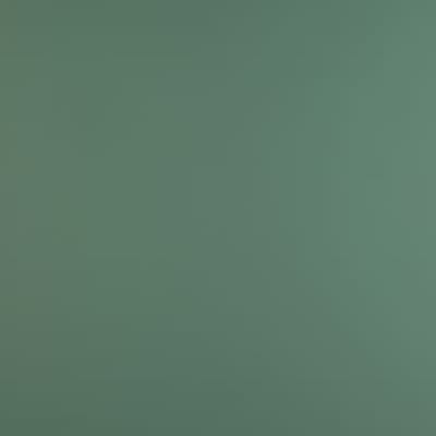 0773 VERDE BRAC FENIX*