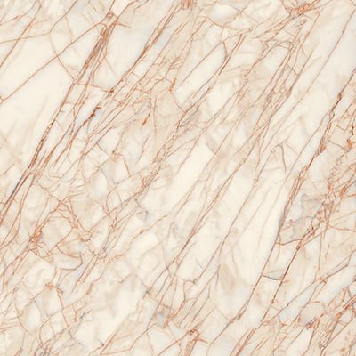 GOLDEN SPIDER POLISHED Fondovalle