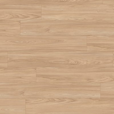 EL1242 Sheffield bagrem prirodni