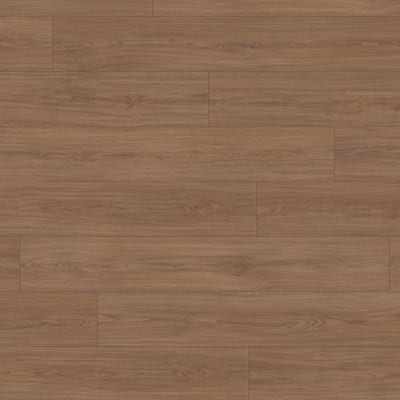 EL2153 Casella hrast smeđi