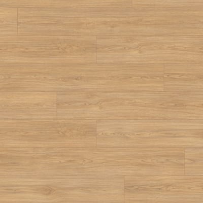 EL2152 Casella hrast prirodni