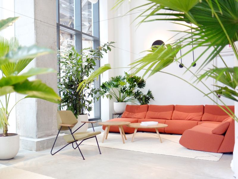 Absent garnitura - Sofe i garniture - 733