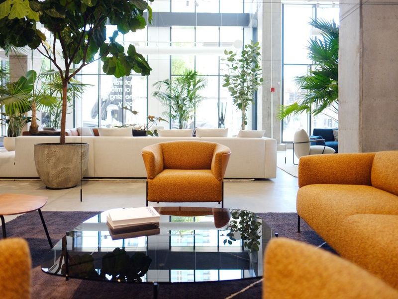 Omnia fotelja - Fotelje - 1376