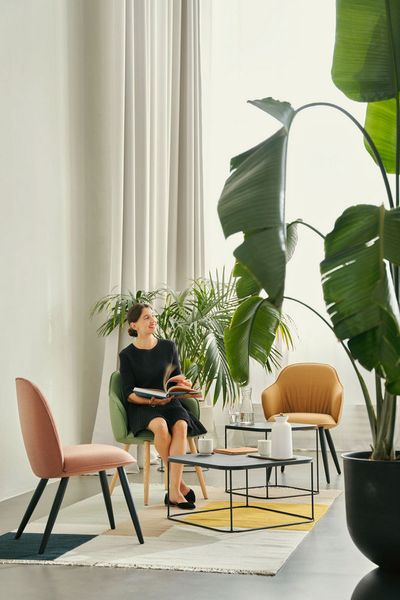 Se:café tapecirane stolice - Blagovaonske stolice - 2786