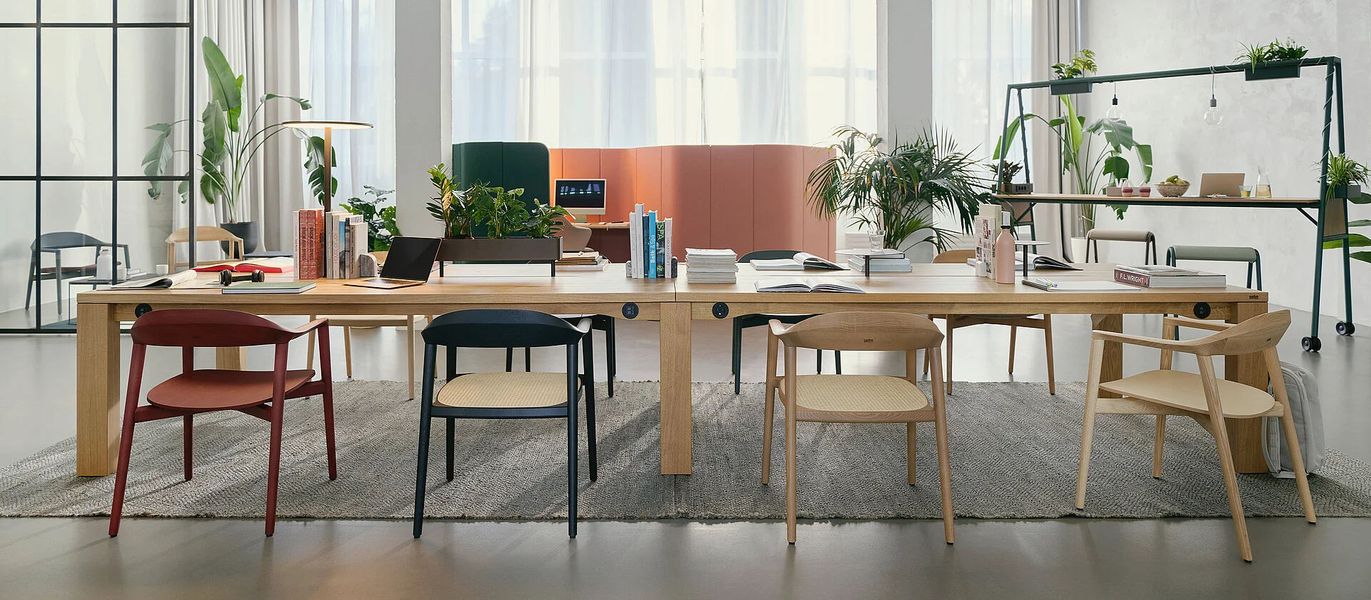 Se:café bezvremenska stolica od punog drva - Blagovaonske stolice - 1813