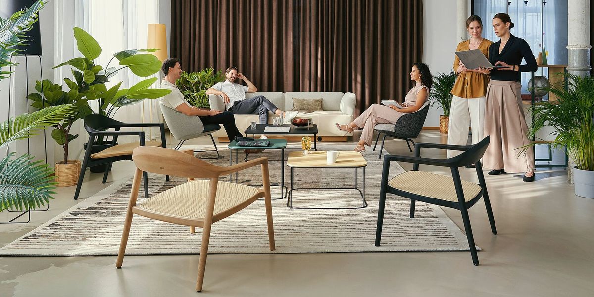 Se:café bezvremenska stolica od punog drva - Blagovaonske stolice - 1815