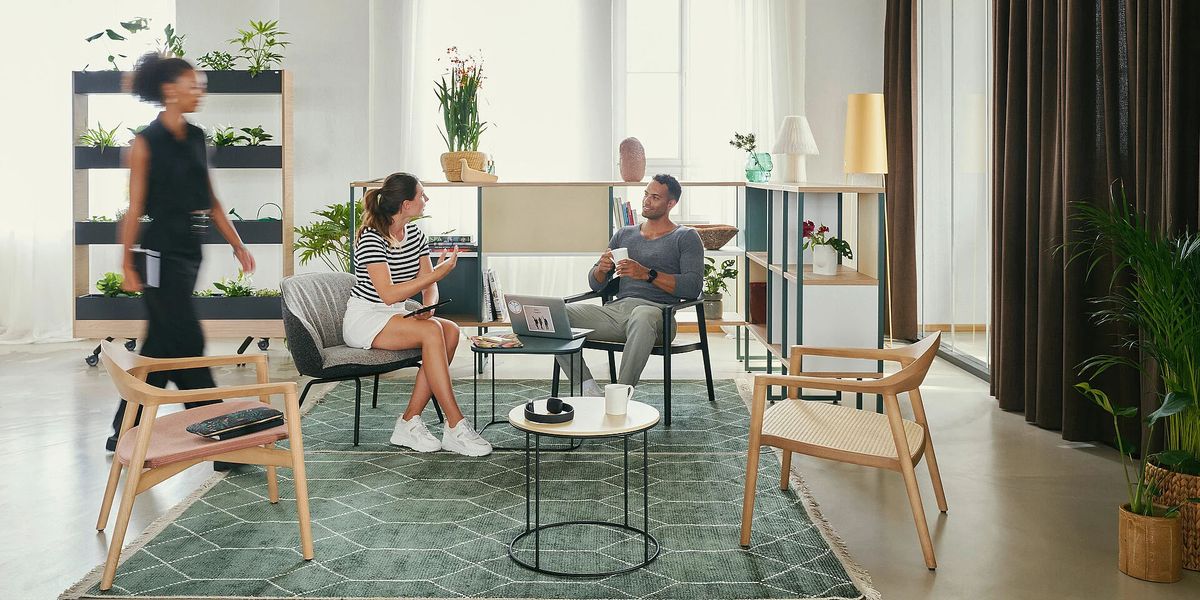 Se:café bezvremenska stolica od punog drva - Blagovaonske stolice - 1814