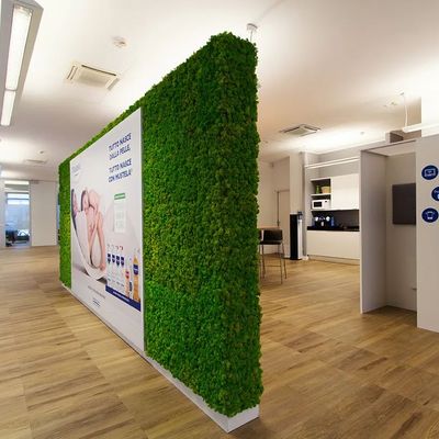 Benetti MOSS akustična rešenja - Akustični paneli - 2003