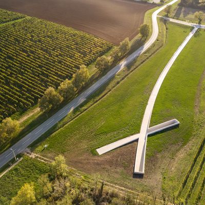 Spomen-obilježje Lovas