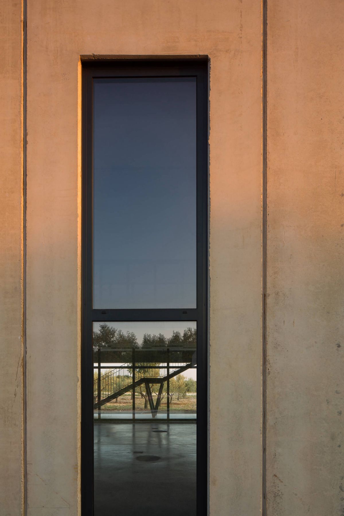 Tar-Vabriga uljara - Javni objekti - 2007