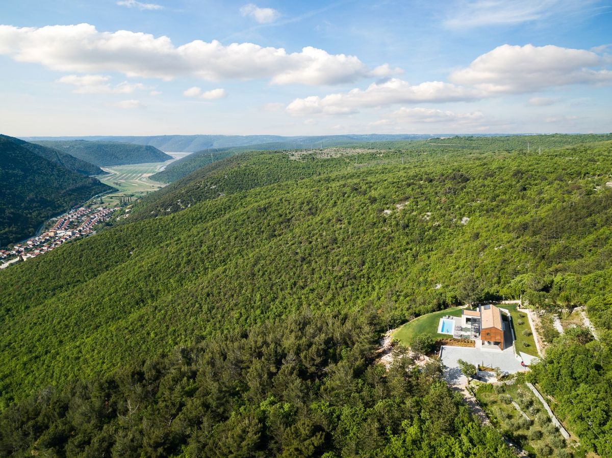 Pine Tree - Vikendice i kuće za odmor - 2656