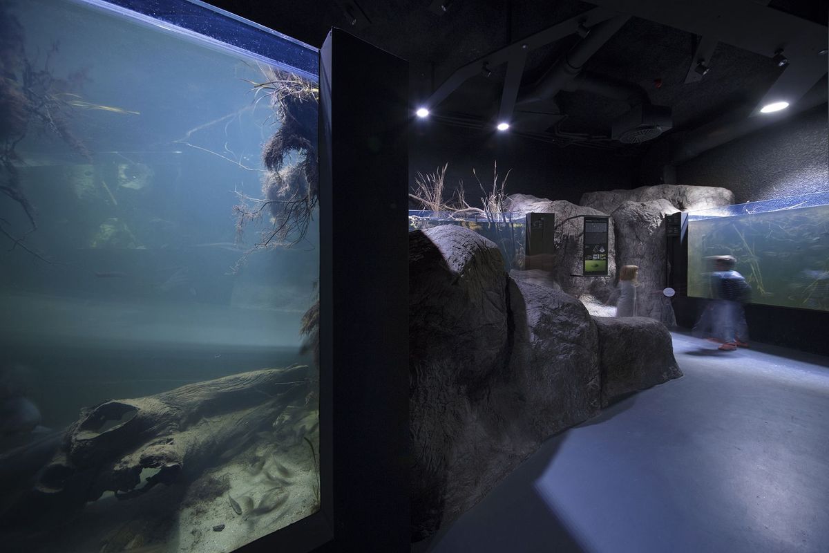 Karlovački akvarij i muzej rijeka - Javni objekti - 271