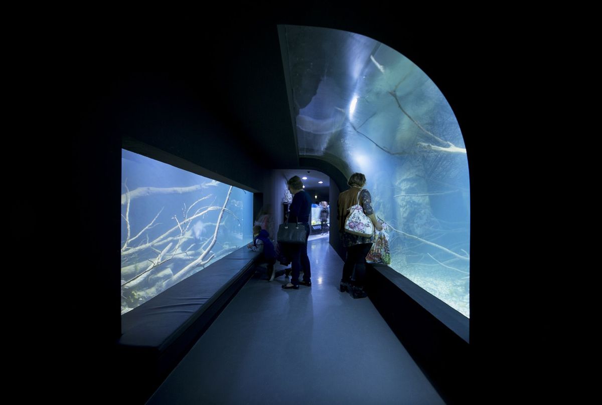 Karlovački akvarij i muzej rijeka - Javni objekti - 272