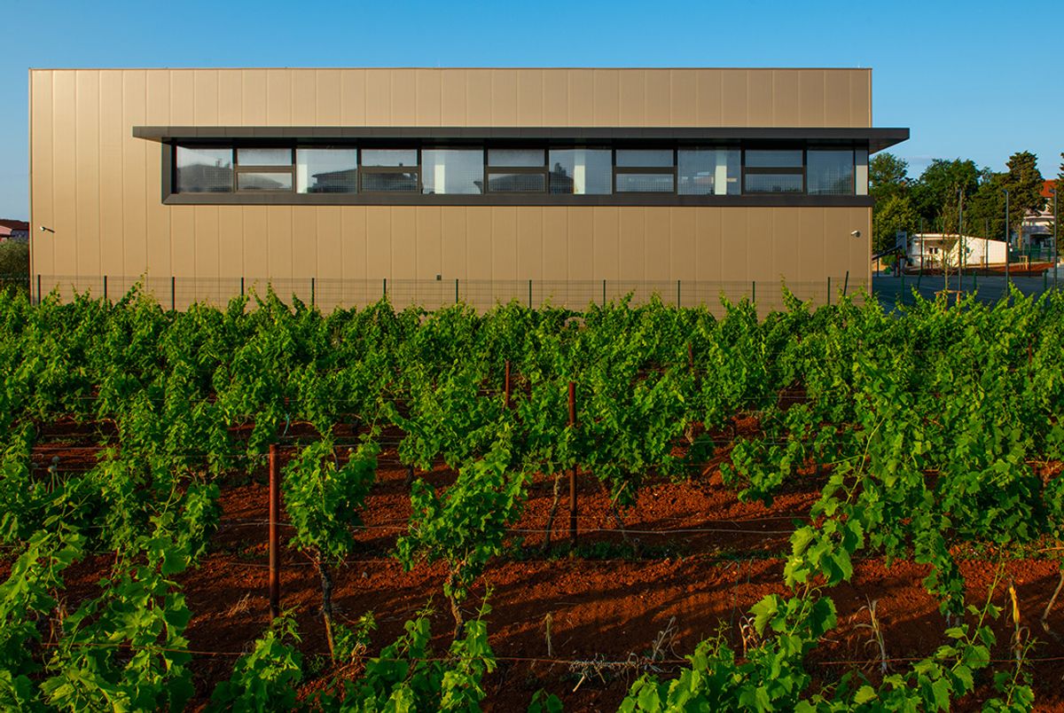 Sportska dvorana - Medulin - Javni objekti - 3085