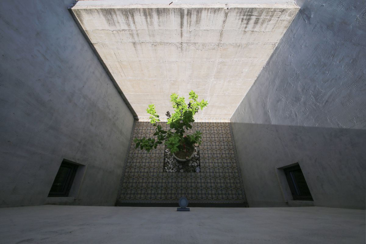 Villa Lastavica - Vikendice i kuće za odmor - 3849