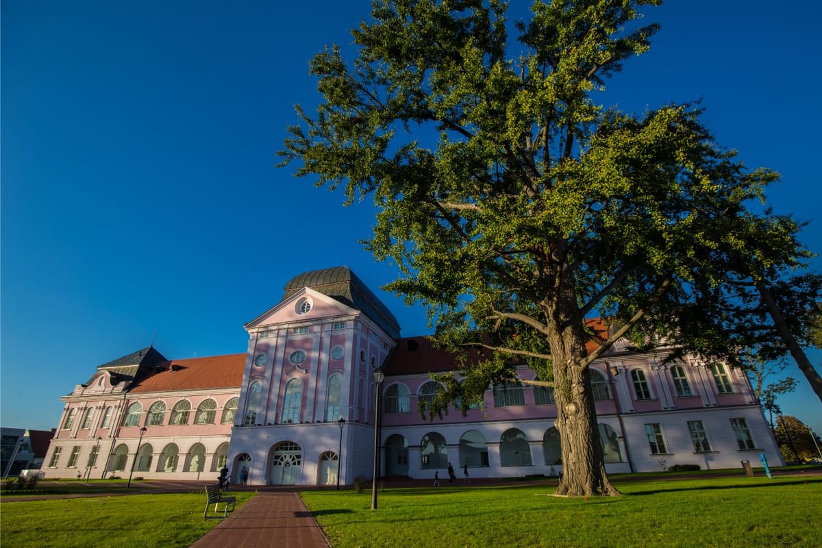 Dvorac Pejačević, Virovitica - Muzeji i galerije - 4405