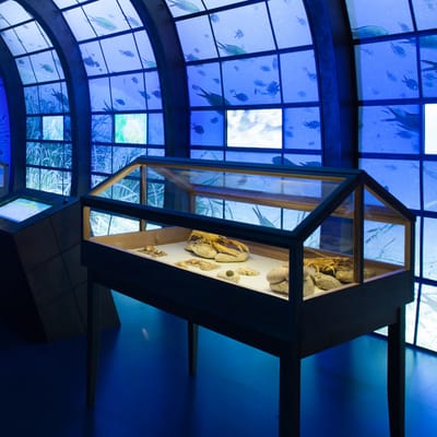 Kuća za brodice, Nacionalni park Brijuni