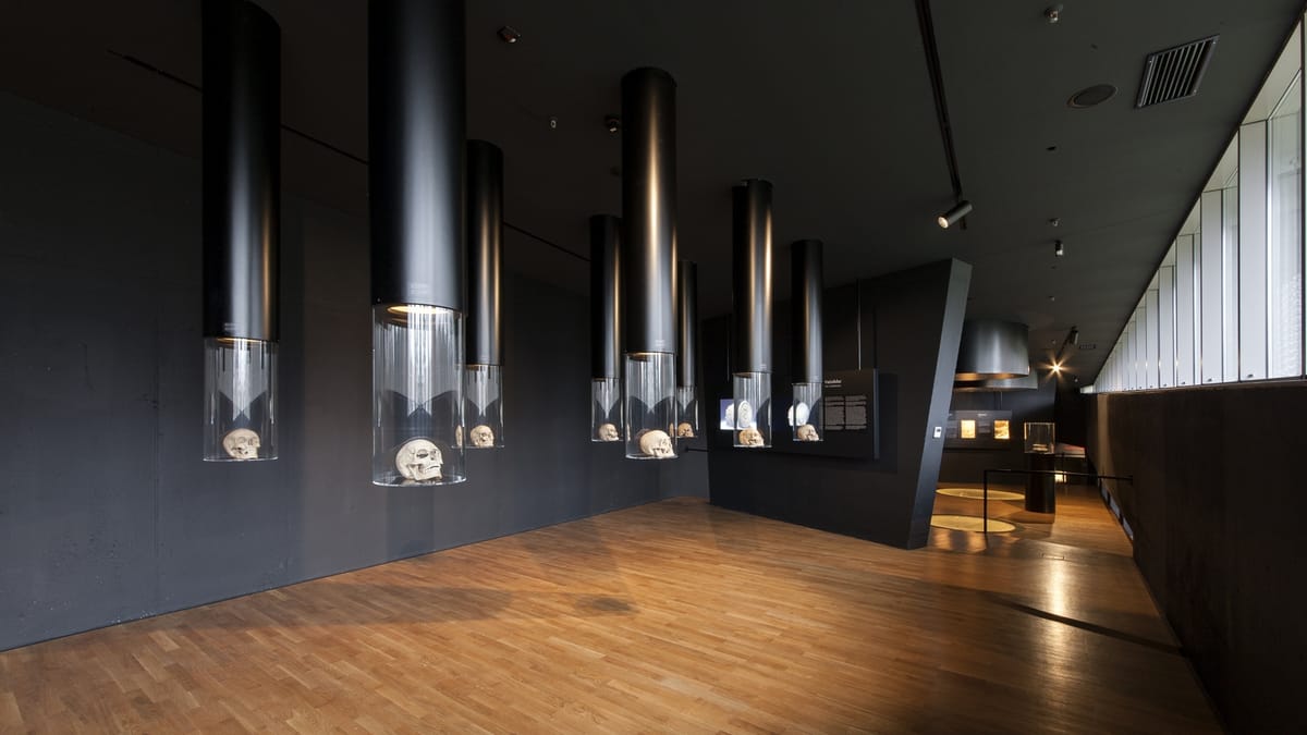 Muzej vučedolske kulture, Vukovar - Muzeji i galerije - 4488