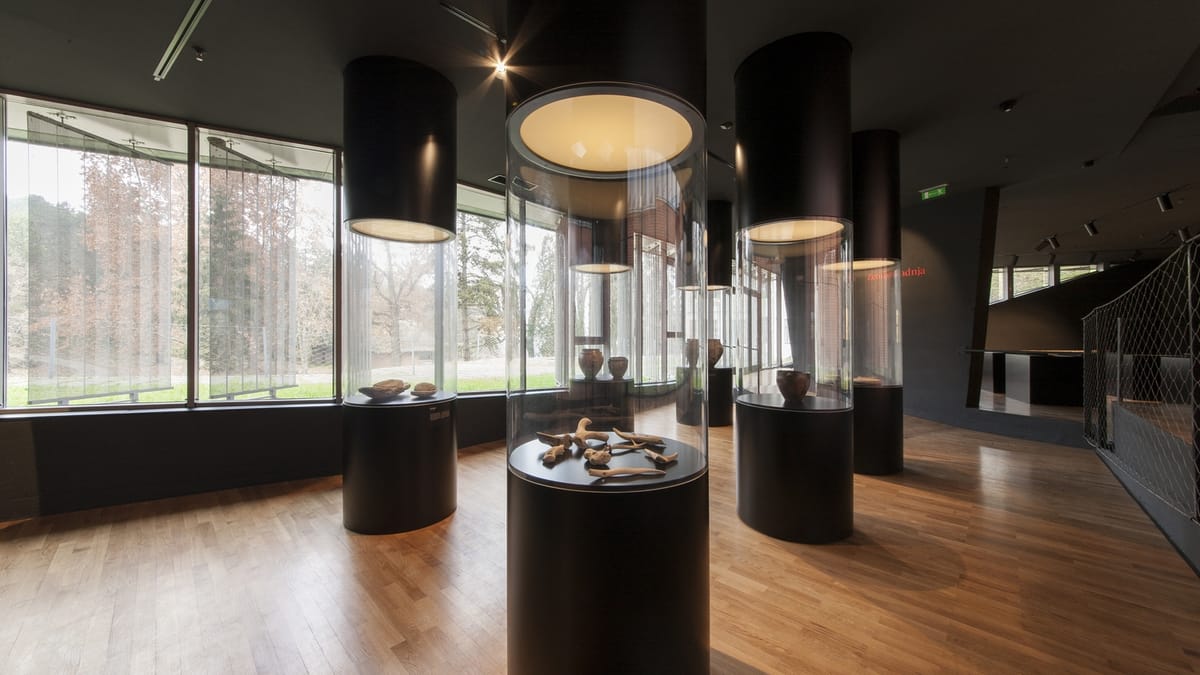 Muzej vučedolske kulture, Vukovar - Muzeji i galerije - 4487