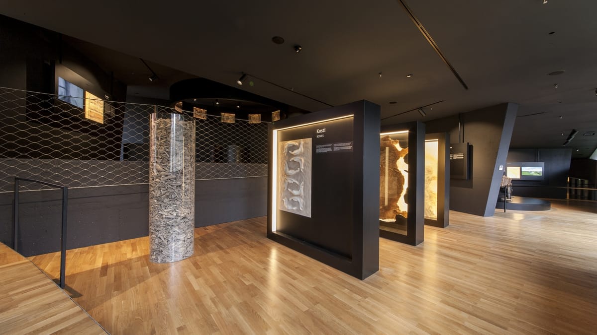 Muzej vučedolske kulture, Vukovar - Muzeji i galerije - 4492