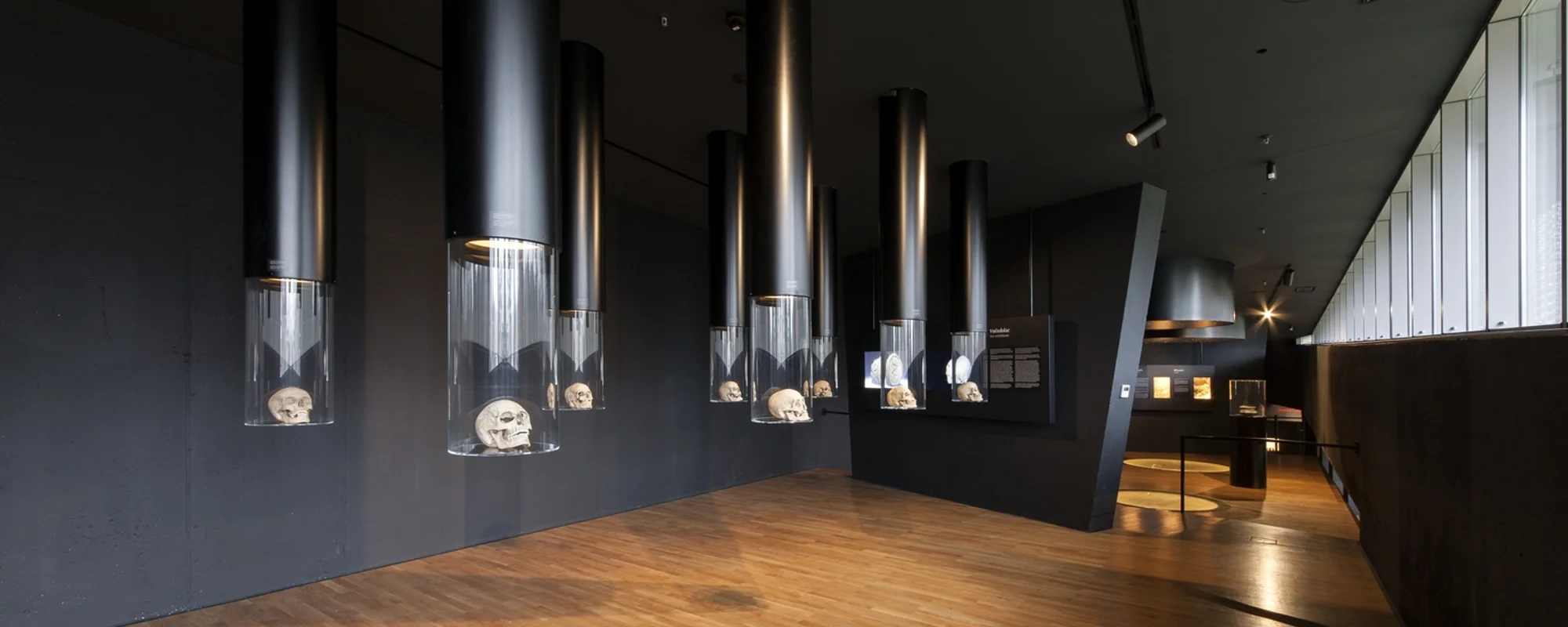 Muzej vučedolske kulture, Vukovar