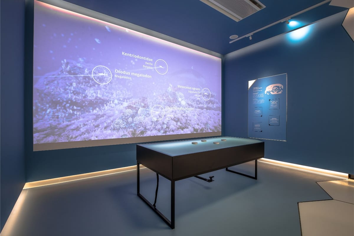 Multimedijalni posjetiteljski centar „Đurđevački pijesci“ - Znanstveno-istraživački i edukativni centri - 4733