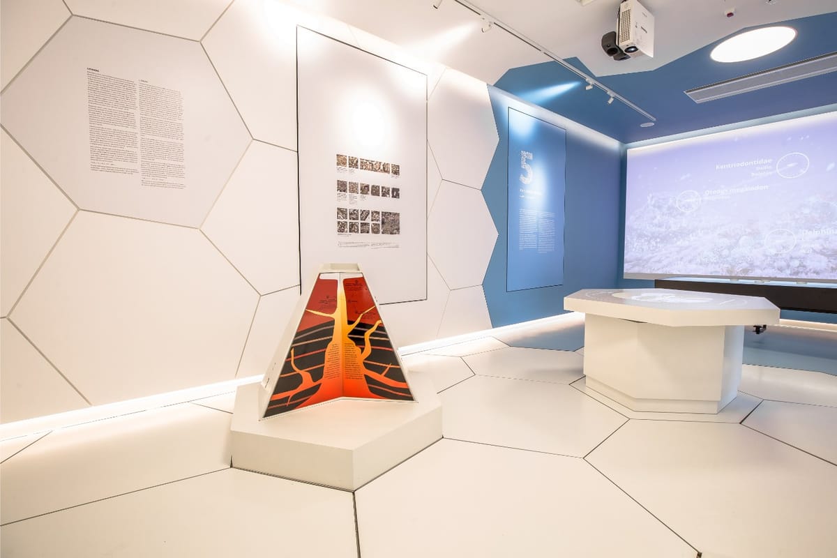 Multimedijalni posjetiteljski centar „Đurđevački pijesci“ - Znanstveno-istraživački i edukativni centri - 4735