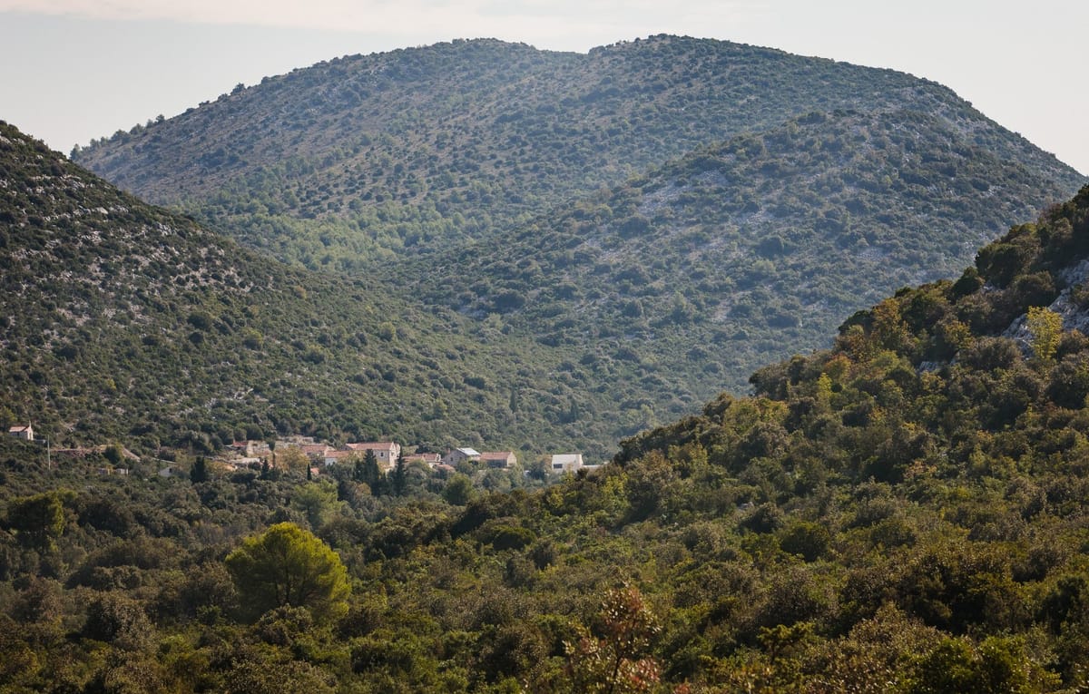 Ladanjski sklop Konštari - Vikendice i kuće za odmor - 4765