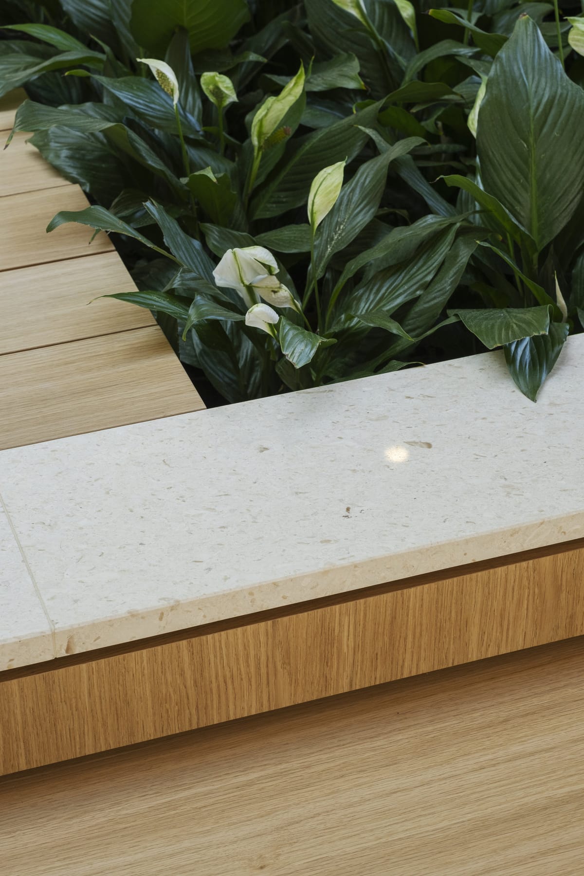 Kuća V — obiteljski interijer na Šalati - Interijer kuće - 5194