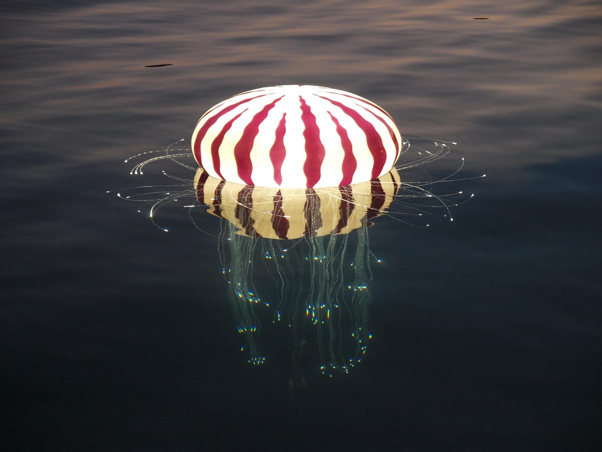 Čikat Bay - Krajobrazna arhitektura - 5422