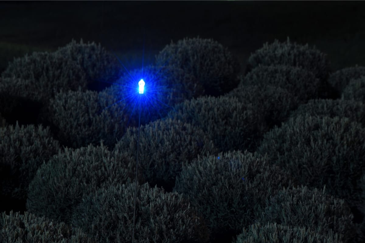 Hotel Kempinski - Hoteli - 5449