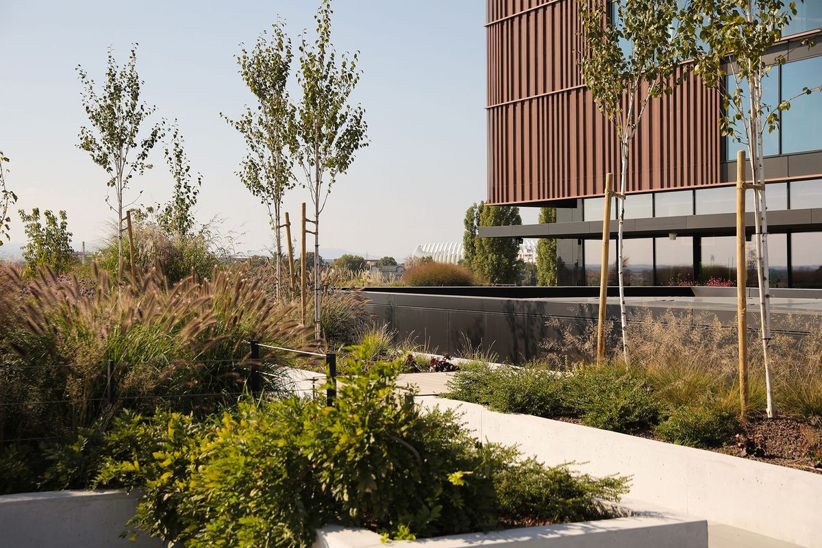 Kampus Infobip - Poslovni prostori - 101