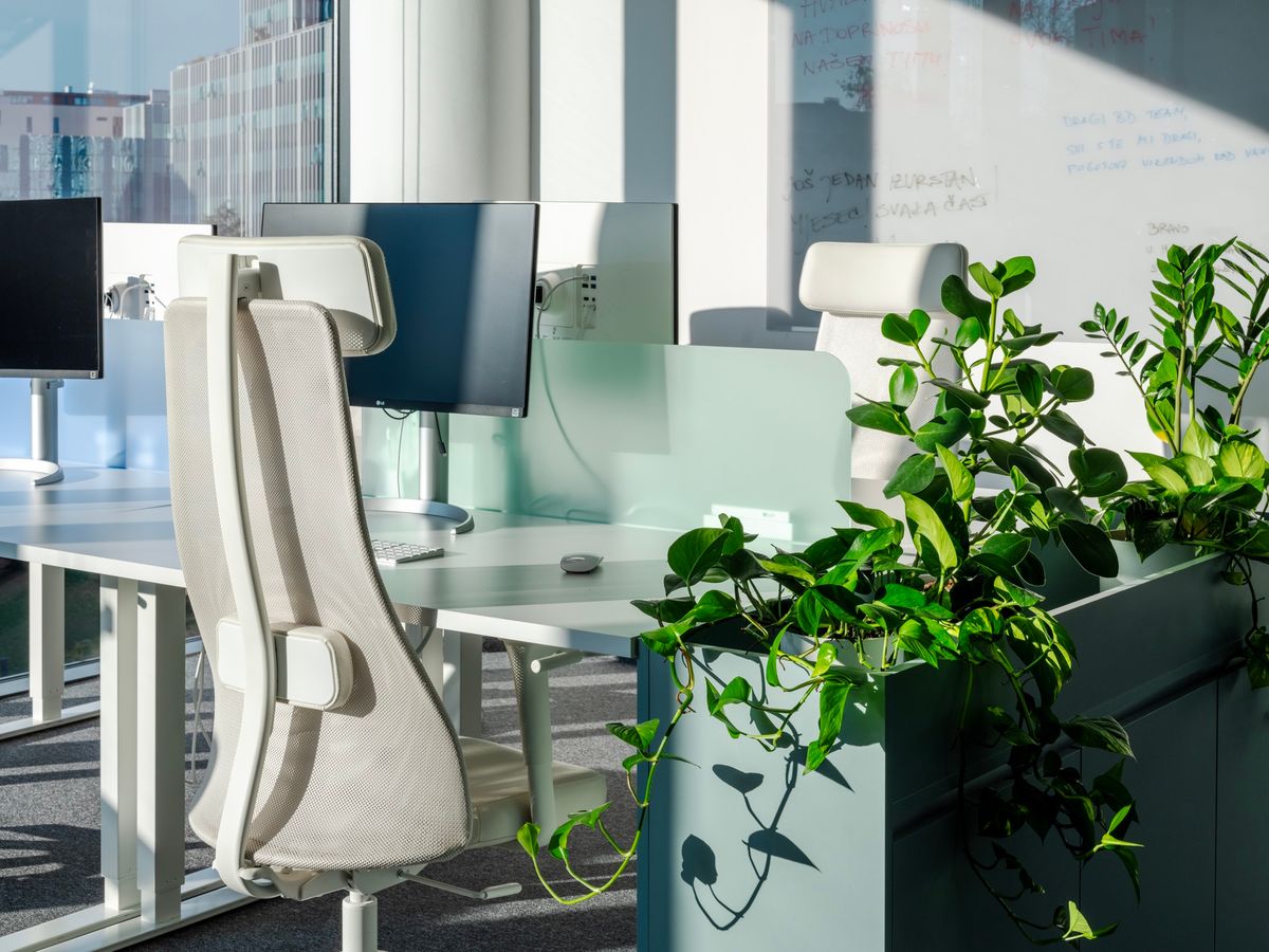 VuMedi Uredi - Poslovni prostori - 967