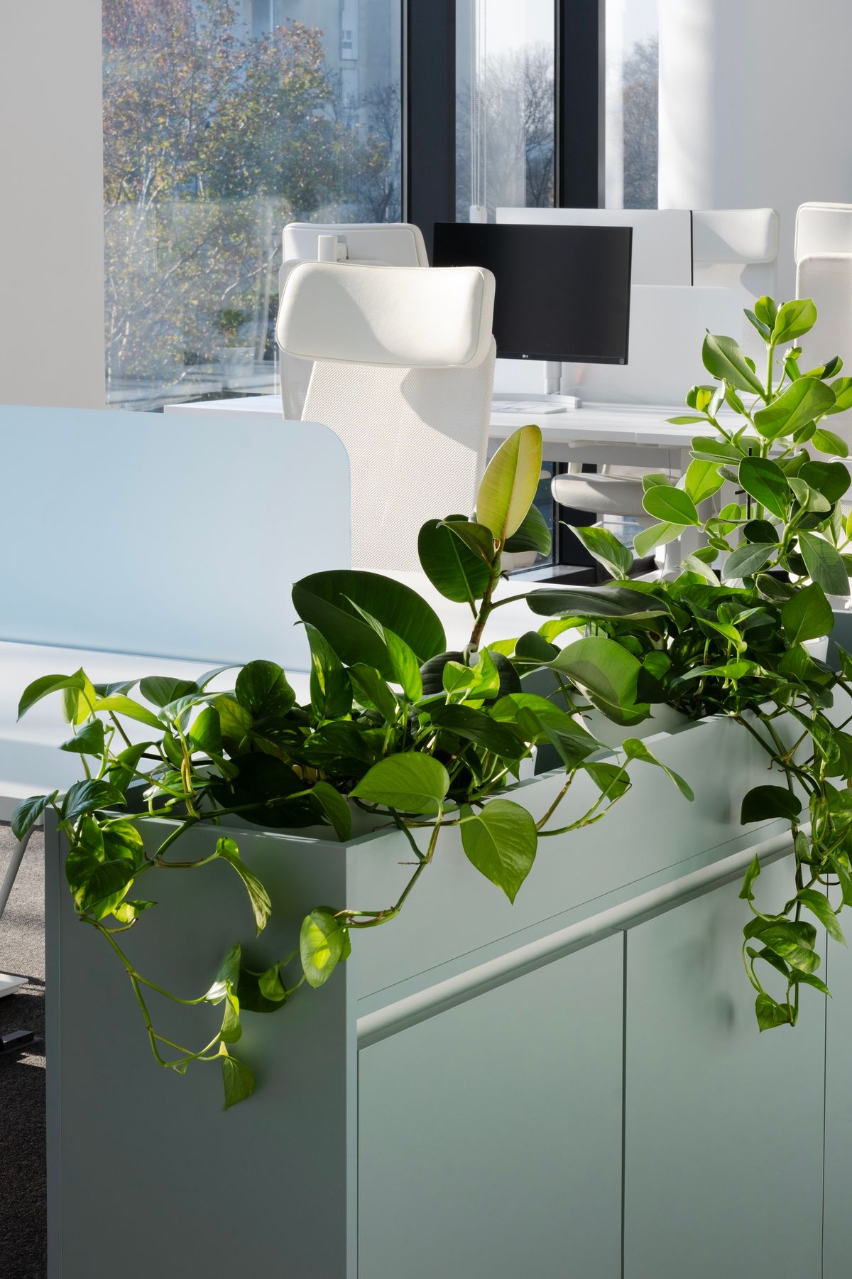 VuMedi Uredi - Poslovni prostori - 968