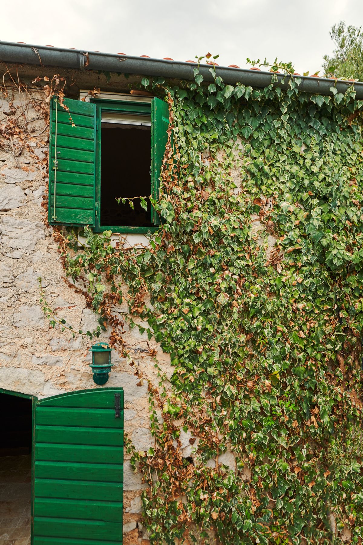 Kuća ispod masline - Kuće - 1060