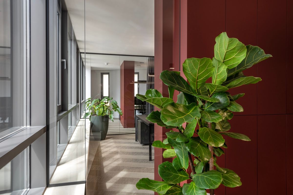 Malo drugačiji odvjetnički ured - Poslovni prostori - 1138