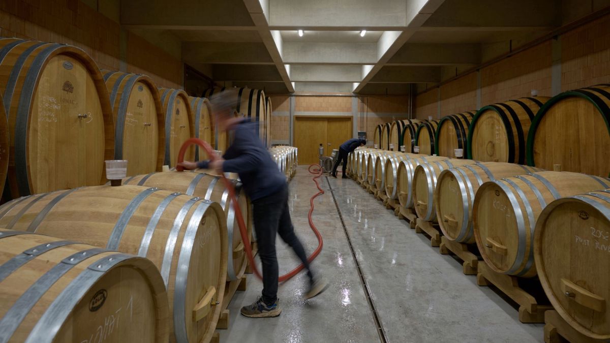 Vinarija Tomac - Ugostiteljski objekti - 1282